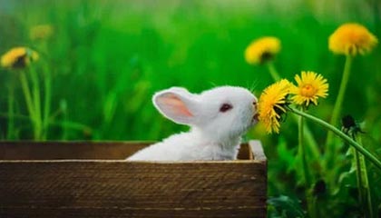 必发APP-开云：在云端开启未知的可能